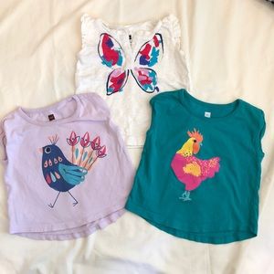 Bundle of 3 Tea Collection Tops